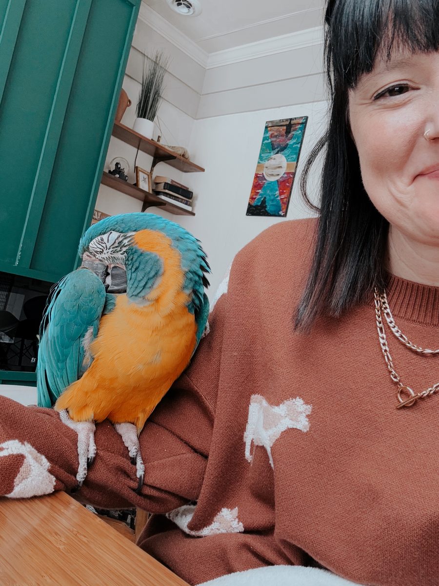 Brittany with Juno, a blue-throated macaw, perched on her arm